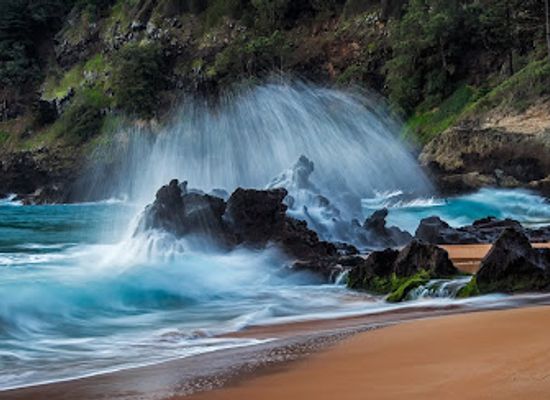 norfolk-island/stockyard-valley/shop/norfolk-online-pty-ltd
