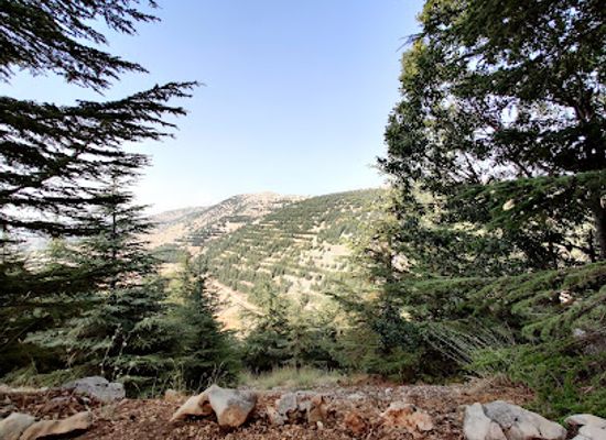lebanon/al-shouf-cedar-nature/shop/shouf-biosphere-reserve-entrance-to-the-barouk-cedar-forest