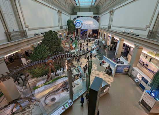 washington/the-columbia-basin/shop/smithsonian-national-museum-of-natural-history-store