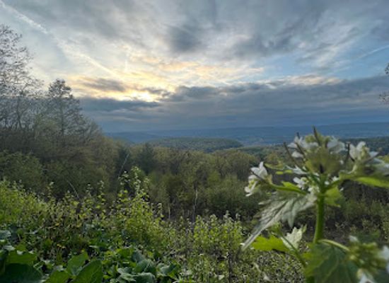 pennsylvania/happy-valley/shop/bells-majestic-view