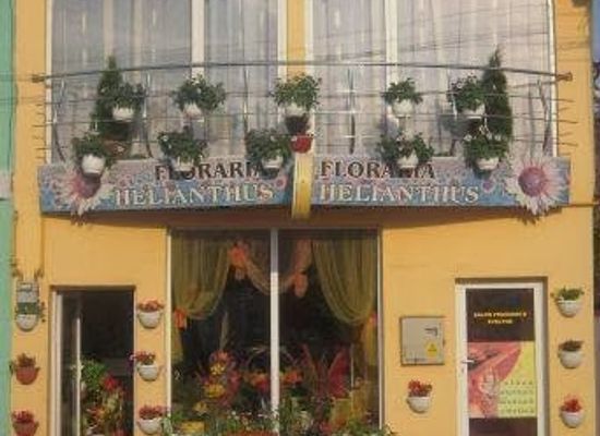 romania/maramures/shop/floraria-helianthus-baia-mare