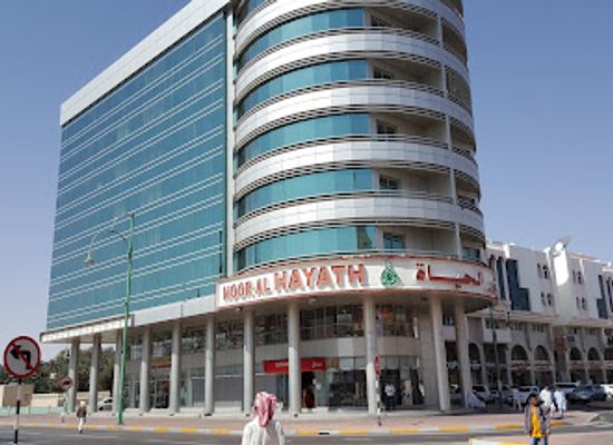 united-arab-emirates/al-ain-oasis/shop/noor-al-hayath-trading-llc