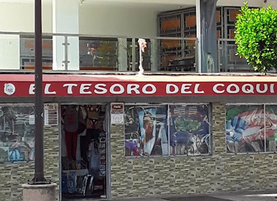 puerto-rico/carolina/shop/el-tesoro-del-coqui