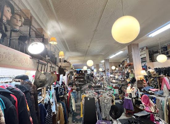montana/missoula/shop/loose-moose