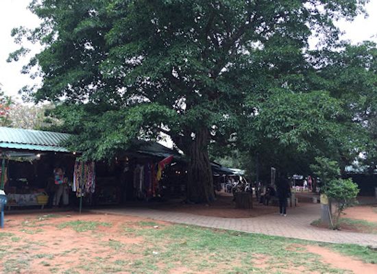 mozambique/limpopo-river-basin/shop/feira-de-artesanato-flores-e-gastronomia-de-maputo