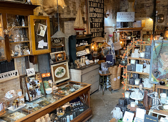 canada/toronto/shop/blackbird-vintage-finds