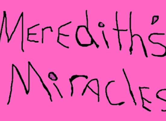alabama/conecuh-national-forest/shop/meredith-s-miracles