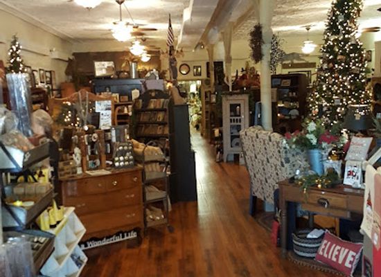 indiana/morgan-monroe-state-forest/shop/berries-ivy