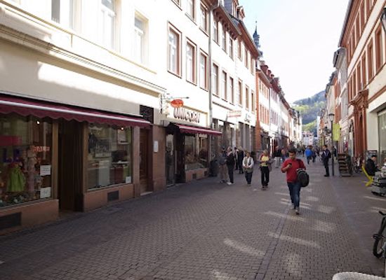 germany/heidelberg/altstadt/shop/unicorn-heidelberg