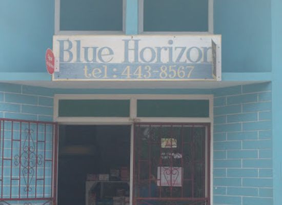 grenada/carriacou-and-petite-martinique/shop/blue-horizon