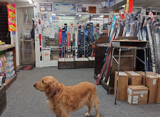 massachusetts/worcester-county/shop/strand-s-ski-shop-inc