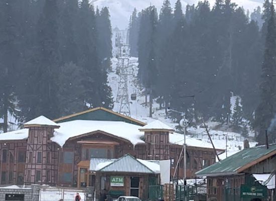 india/gulmarg/shop/kolaigreen
