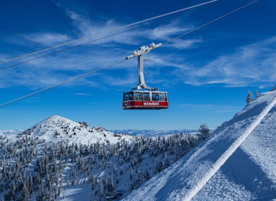 utah/snowbird-ski-resort/shop/snowbird-tram