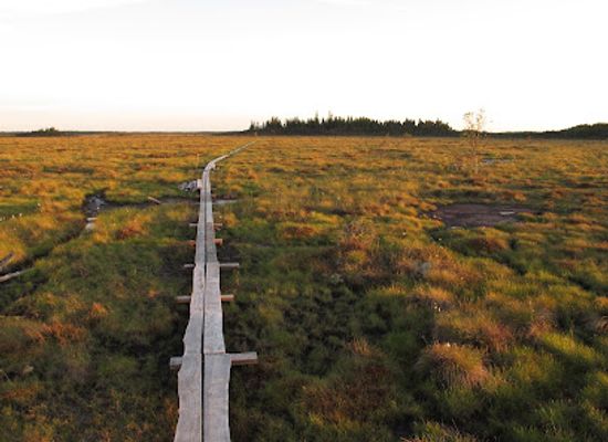 sweden/sarek-national-park/shop/greater-mosse-national-park