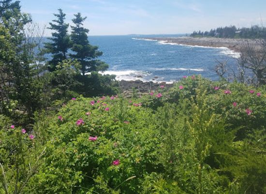 maine/maine-lakes-and-mountains/shop/walmart-supercenter