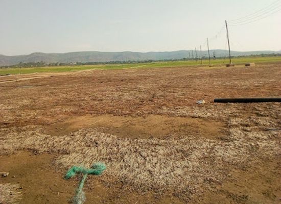 zambia/lake-kariba/shop/lake-harvest