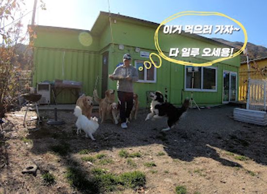 south-korea/seoraksan-national-park/shop/noldagae