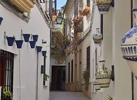 spain/cordoba/la-juderia/shop/ale-hop