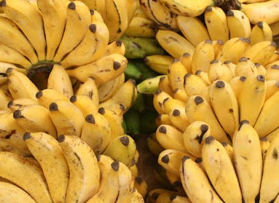 uganda/busoga/shop/cosabuce