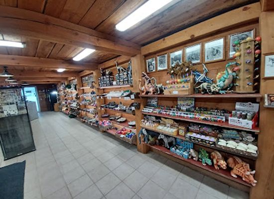 idaho/silver-valley/shop/crystal-gold-mine-rv-park