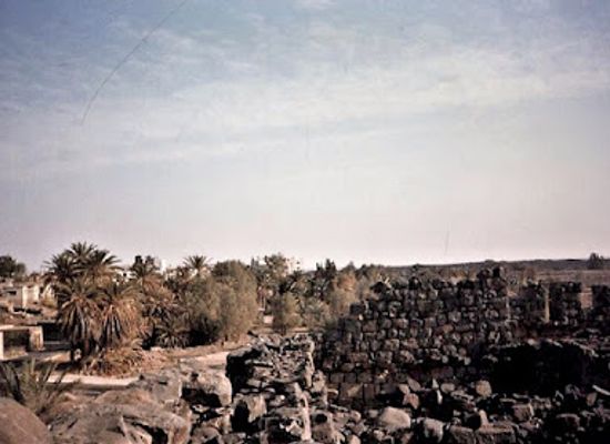 jordan/azraq-oasis/shop/oasi-di-azraq-giordania