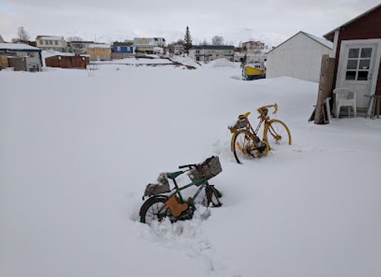 iceland/dalvik/shop/galleri-perla