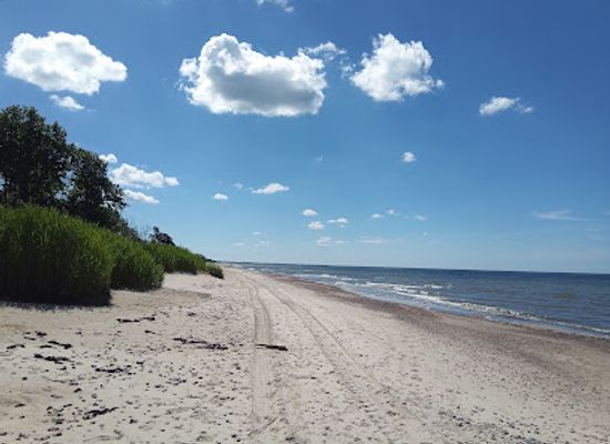 latvia/pape-nature-reserve/shop/dabas-procesu-taka