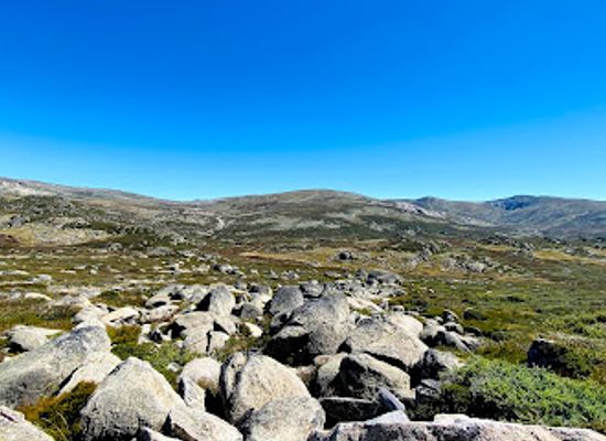 australia/mount-kosciuszko/shop/mount-kosciuszko-summit-walk-nr-charlotte-pass
