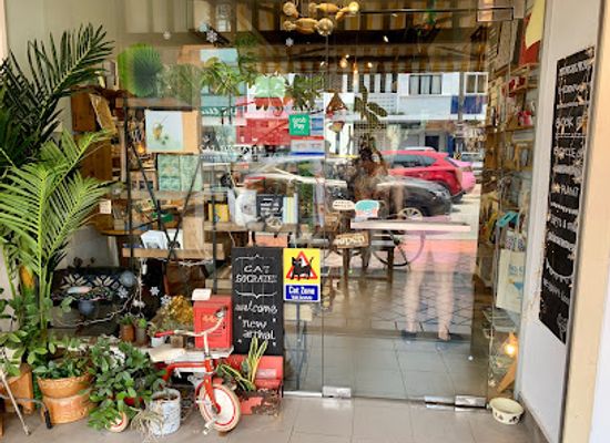 singapore/east-coast-park/shop/cat-socrates