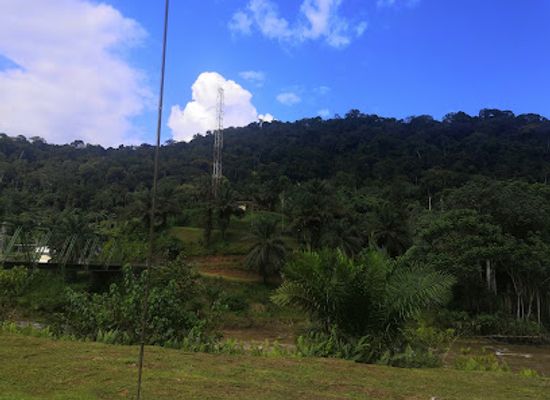 gabon/crystal-mountains-national-park/shop/crystal-mountains-africa
