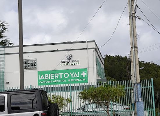 puerto-rico/manati/shop/first-medical-cannabis