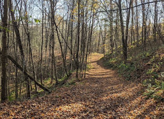 wisconsin/northwoods/shop/ice-age-trail-underdown-segment