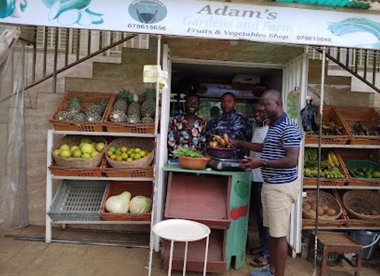 sierra-leone/western-area-urban-district/shop/adam-s-gardens-and-farm-sl