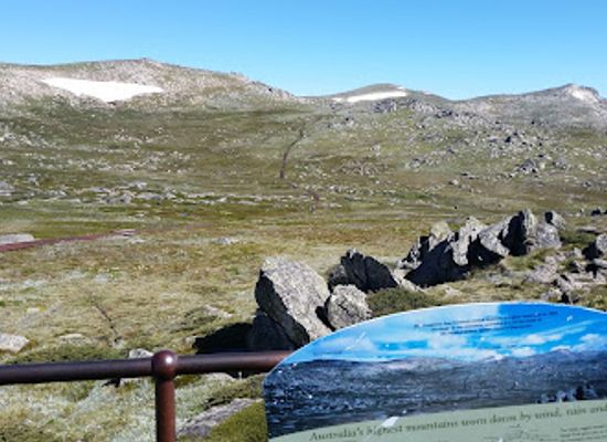 australia/kosciuszko-national-park/shop/kosciuszko-lookout