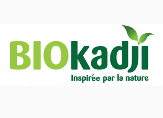 chad/hadjer-lamis/shop/boutique-biokadji