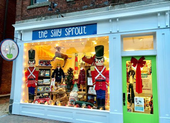 connecticut/litchfield-hills/shop/the-silly-sprout