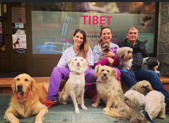andorra/la-massana/shop/tibet