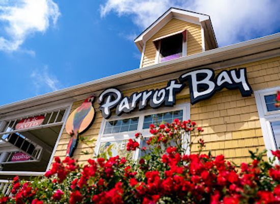 north-carolina/outer-banks/shop/parrot-bay