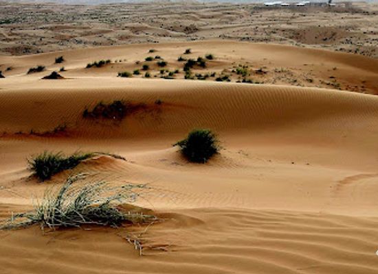 oman/wahiba-sands/shop/arabian-oryx-camp