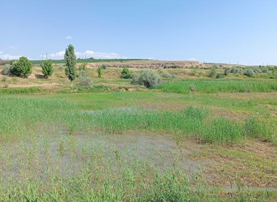 uzbekistan/chimgan-mountains/shop/chimgan