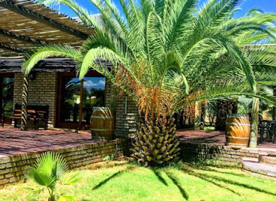 botswana/ghanzi-district/shop/palm-afrique-lodge-3-star