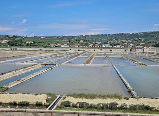 slovenia/coastal-karst/shop/secovlje-sicciole-saltpans-nature-park