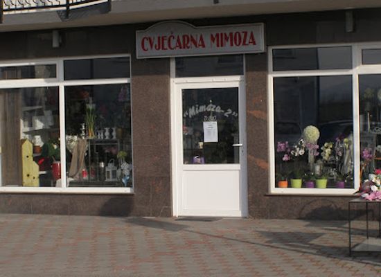 bosnia-and-herzegovina/posavina/shop/cvjecarna-mimoza