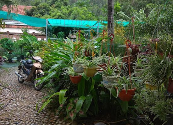 vietnam/central-highlands/shop/vuon-lan-hoang-nam