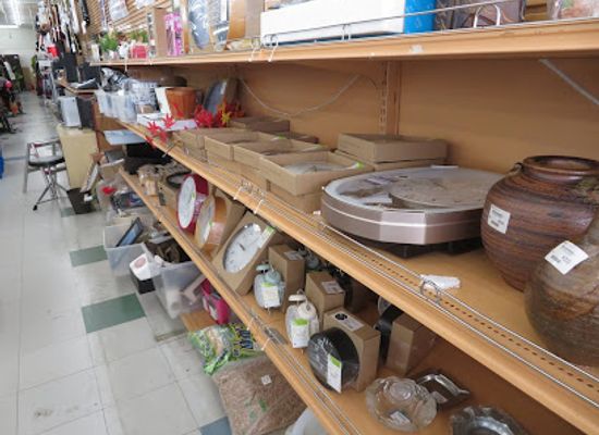 japan/hizen/shop/wonderrex-takahagi