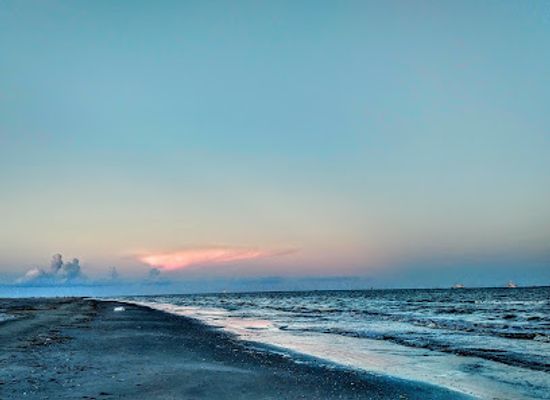 louisiana/grand-isle/shop/elmer-s-island-wildlife-refuge