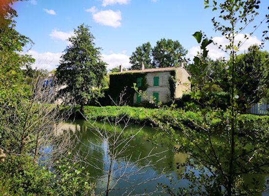 france/marais-poitevin/shop/la-libellule