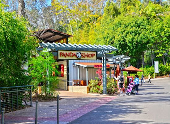 california/san-diego/balboa-park/shop/panda-shop