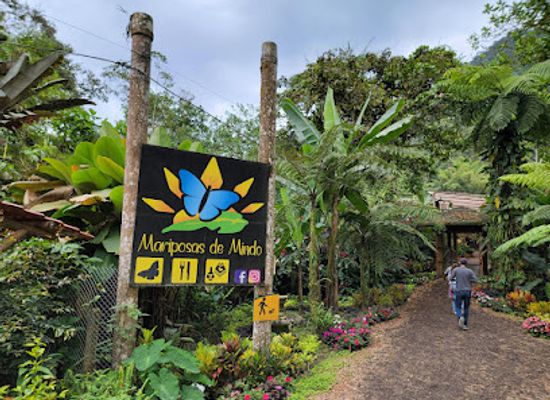 ecuador/mindo-cloud-forest/shop/mariposario-mariposas-de-mindo