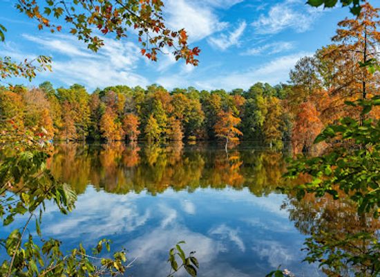 delaware/trap-pond-state-park/shop/trap-pond-state-park